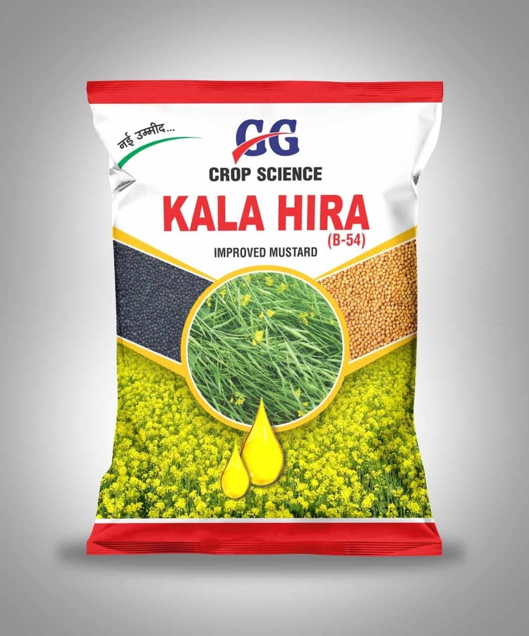 KALA HIRA (B-54) MUSTARD